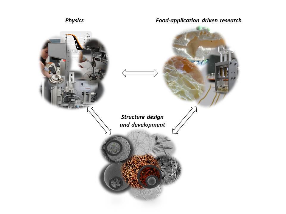 Research Of Physics And Physical Chemistry Of Foods - WUR